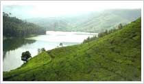 munnar hill station