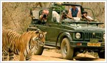 Ranthambhore National Park